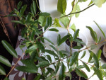 54127_800x600_IMG_35904ad2b0a9.jpg