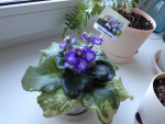 54127_800x600_IMG_35948d18b74a.jpg
