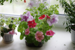 54127_800x533_IMG_99573ab062aa.jpg
