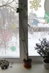 54127_533x800_IMG_08617c41fa58.jpg