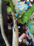 54127_600x800_IMG_20180305_151931be69ee47.jpg