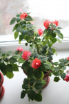 54127_533x800_IMG_1083d714785c.jpg