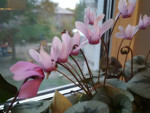 54127_800x600_IMG_20180613_210516ce135717.jpg