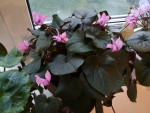54127_800x600_IMG_20180613_210532b8286190.jpg