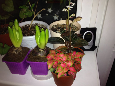 54127_800x600_IMG_2094b29eef75.jpg