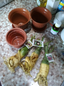 IMG_20190710_171901.jpg