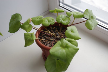 54127_800x533_IMG_9583d25ccb31.jpg